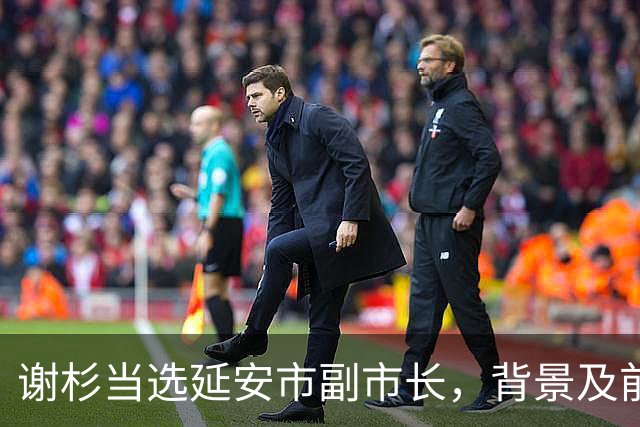 谢杉当选延安市副市长，背景及前职分析